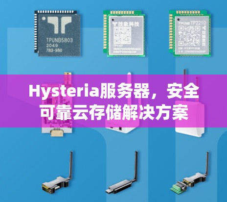 Hysteria服务器,安全可靠云存储解决方案 Hysteria服务器,安全可靠云存储解决方案