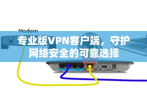 专业版VPN客户端,守护网络安全的可靠选择