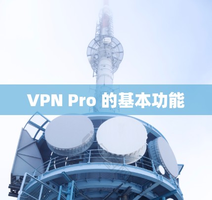 VPN Pro 的基本功能