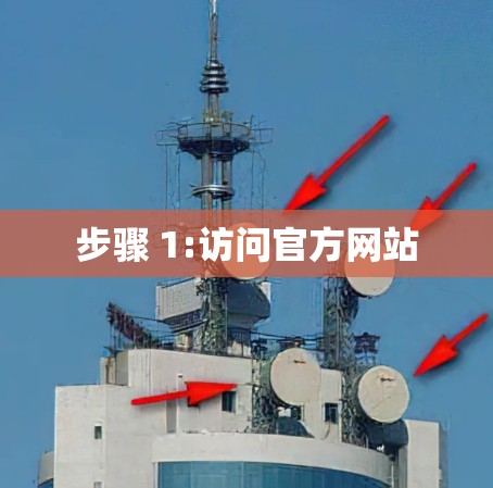 步骤 1:访问官方网站