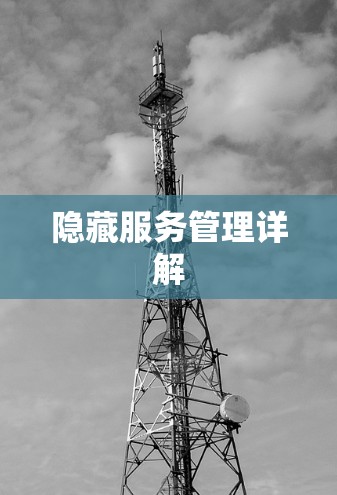 隐藏服务管理详解