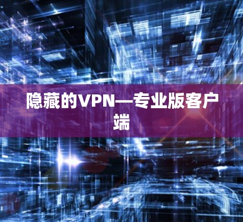隐藏的VPN—专业版客户端