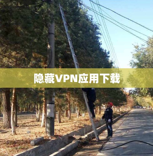 隐藏VPN应用下载 隐藏VPN应用下载